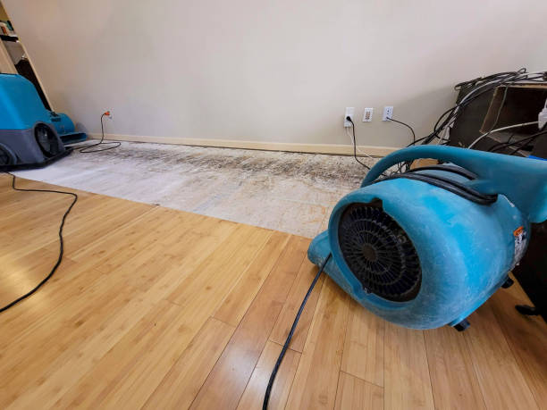 Professional Burst Pipe Water Damage technician working in New Providence, PA